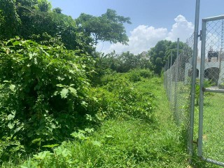 Residential lot For Sale in LUANA PEN BLACK RIVER, St. Elizabeth, Jamaica