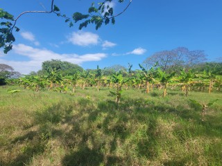 Commercial/farm land For Sale in Old Harbour, St. Catherine, Jamaica