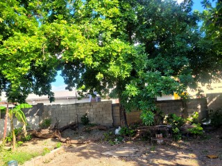 House For Rent in Kingston 20, Kingston / St. Andrew Jamaica | [8]