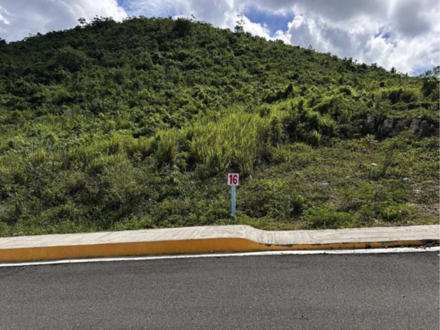 Residential lot For Sale - Red Hills, Kingston / St. Andrew, Jamaica