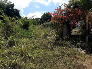 Residential lot For Sale in Runaway Bay, St. Ann Jamaica | [3]