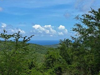 Land For Sale – Rio Bueno, Trelawny, Jamaica
