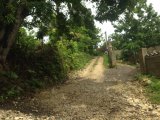 Commercial/farm land For Sale in Windsor Castle, Portland Jamaica | [2]