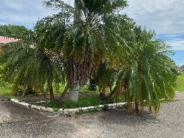 House For Sale in Old Harbour, St. Catherine Jamaica | [7]