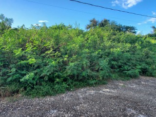 Residential lot For Sale in Bellevue, St. Catherine, Jamaica