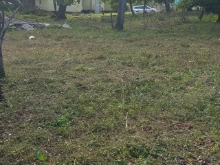 House For Sale in Great Pond, St. Ann Jamaica | [4]