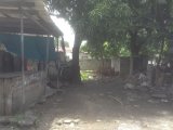 Commercial building For Sale in Morant Bay, St. Thomas Jamaica | [5]
