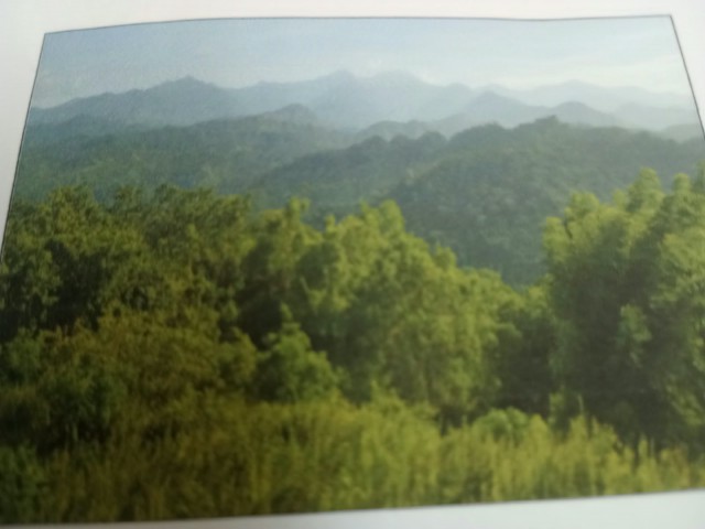 Residential lot For Sale in Haughton Court, Hanover Jamaica | [2]