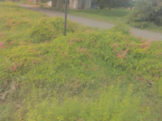 Land For Sale in May Pen, Clarendon Jamaica | [9]