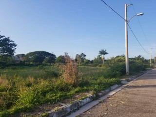 Residential lot For Sale in Paradise, Westmoreland Jamaica | [12]