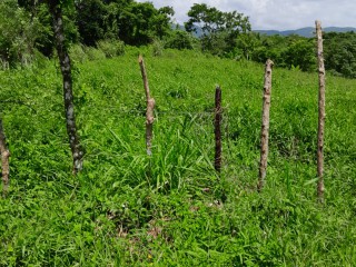 Land For Sale in Seaford Town, Westmoreland, Jamaica