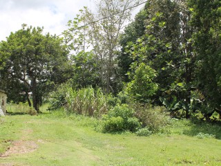  For Sale in Mandeville, Manchester Jamaica | [4]