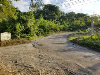 Residential lot For Sale in HUDDERSFIELD ESTATE, St. Mary Jamaica | [3]