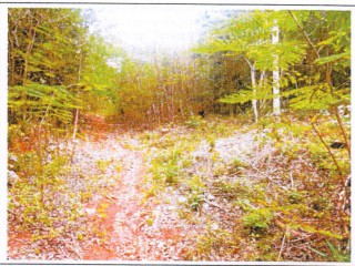 House For Sale in Kensington Simon District, St. Catherine Jamaica | [4]
