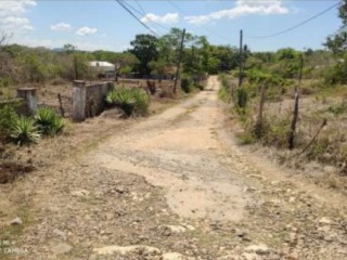 Residential lot For Sale in Palmers Cross PA, Clarendon Jamaica | [2]