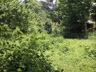 Residential lot For Sale in Santa Cruz, St. Elizabeth Jamaica | [1]