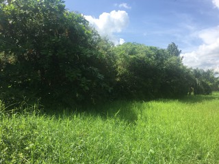 House For Sale in Clarendon Park, Clarendon Jamaica | [3]