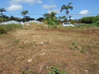 Residential lot For Sale in Mandeville, Manchester Jamaica | [14]