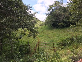 Residential lot For Sale in Chippenham Park Bamboo, St. Ann Jamaica | [12]