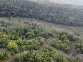 Land For Sale in Retreat, Clarendon Jamaica | [9]