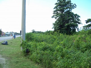 Commercial land For Sale in Salem, St. Ann Jamaica | [6]