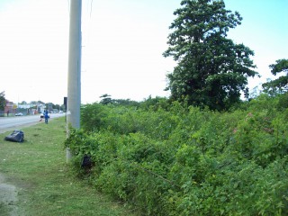 Commercial land For Sale in Salem, St. Ann Jamaica | [5]