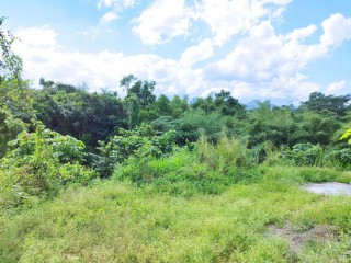 Land For Sale in Linstead, St. Catherine, Jamaica