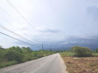 Residential lot For Sale in Black River, St. Elizabeth Jamaica | [2]