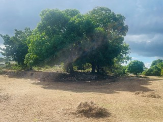 Residential lot For Sale – May Pen, Clarendon, Jamaica