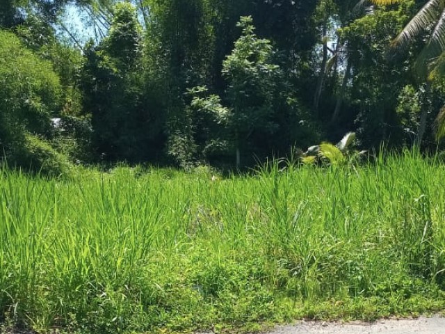 Residential lot For Sale - Burnt Savannah, Westmoreland, Jamaica