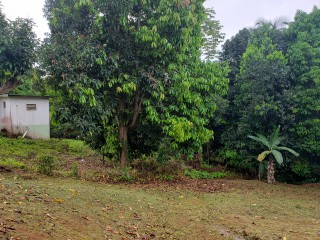 Residential lot For Sale in Time and Patience, St. Catherine Jamaica | [9]