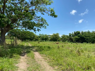 Residential lot For Sale in Bushy Park, St. Catherine, Jamaica