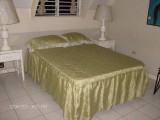 Apartment For Sale in Ocho Rios, St. Ann Jamaica | [3]