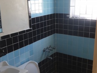 Apartment For Rent in MtSalemClock Tower, St. James Jamaica | [10]