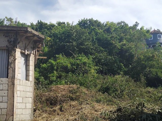 Residential lot For Sale in Gutters, Manchester Jamaica | [3]