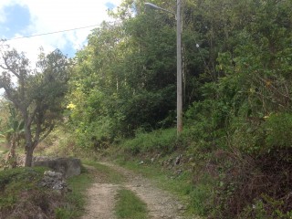 Residential lot For Sale in Mile Gully, Manchester Jamaica | [3]