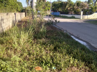 Land For Rent in Leiba Gardens, St. Catherine Jamaica | [5]