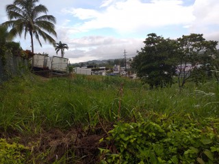 Commercial land For Sale in Mandeville, Manchester Jamaica | [6]