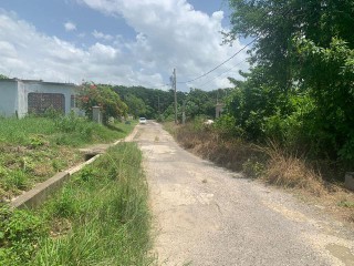 Residential lot For Sale in LUANA PEN BLACK RIVER, St. Elizabeth Jamaica | [8]