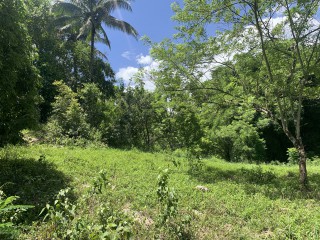 3 bed Resort/vacation property For Sale in Ducketts, St. James, Jamaica