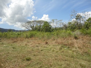 Residential lot For Sale in Blue Mountain Danvers Pen, St. Thomas Jamaica | [1]