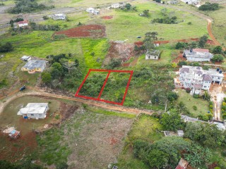 Land For Sale in Newport, Manchester, Jamaica