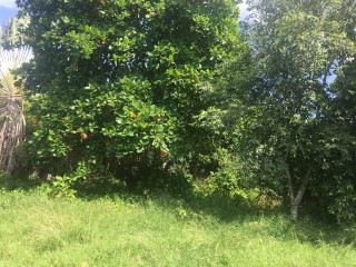 Commercial/farm land For Sale in Clarendon Park, Clarendon Jamaica | [4]