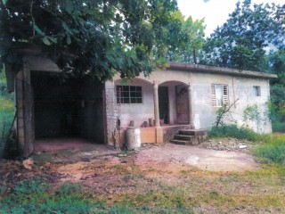 House For Sale in Near Knockpatrick, Manchester Jamaica | [4]