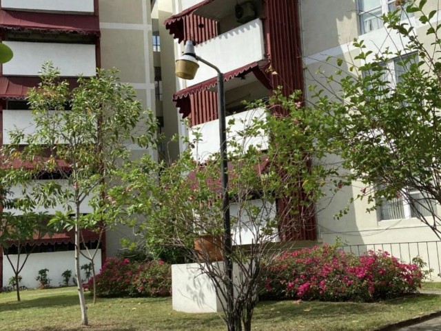 Apartment For Sale in Trafalgar Road, Kingston / St. Andrew Jamaica | [4]