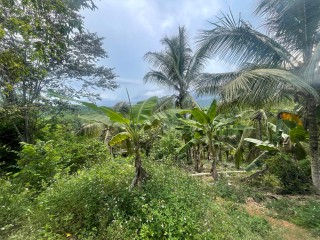 1 bed Commercial/farm land For Sale in Ewarton, St. Catherine, Jamaica