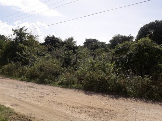 Residential lot For Sale in BlackRiver, St. Elizabeth Jamaica | [3]