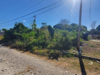 Residential lot For Sale in Albion Estate, St. Thomas Jamaica | [1]