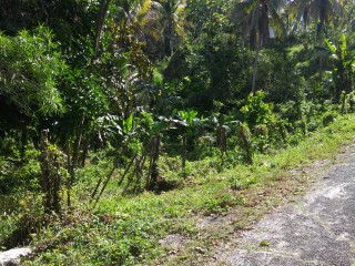 Land For Sale in Mile Gully Manchester, Manchester, Jamaica