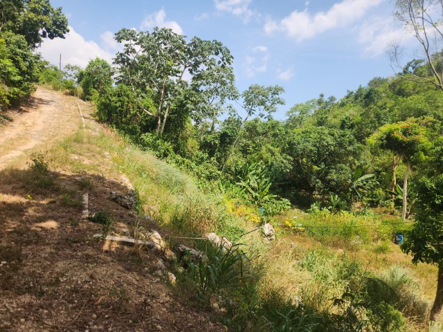 Residential lot For Sale in Swain Spring, Kingston / St. Andrew Jamaica | [2]